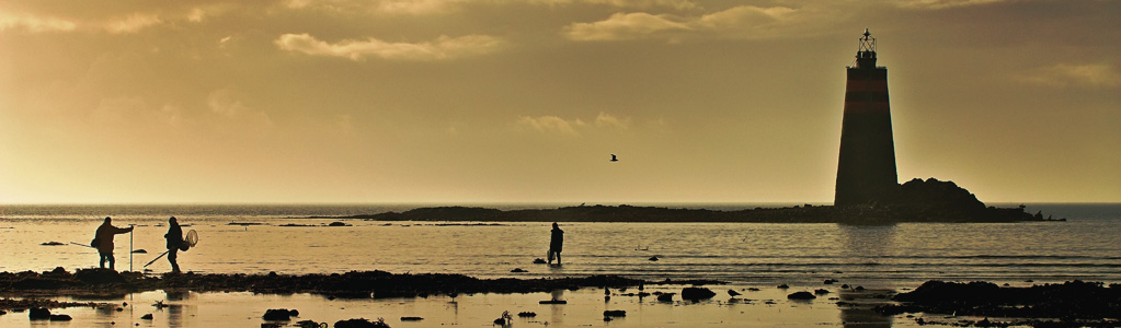 Pêche à pied<br />Pêche en mer 