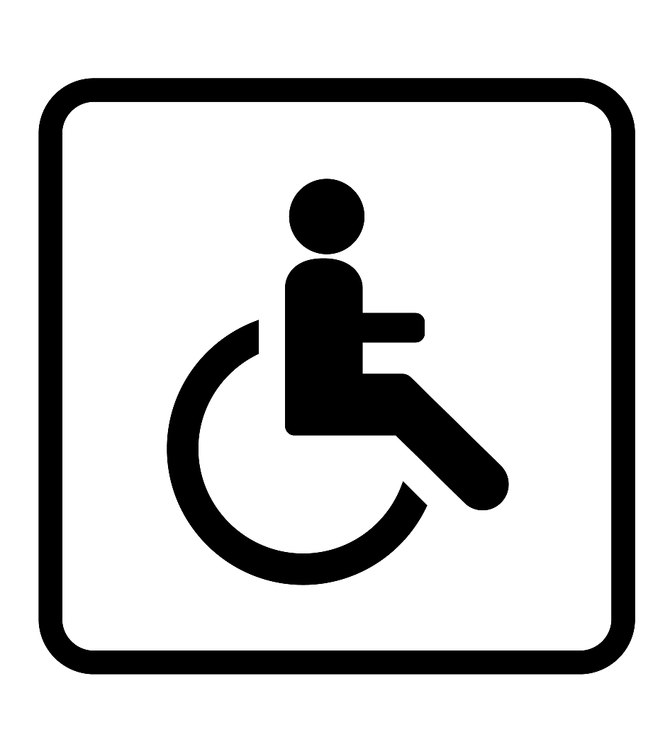 handicap-moteur